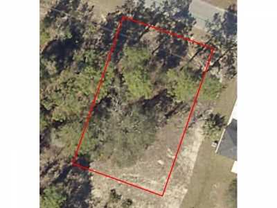 Residential Land For Sale in Ocklawaha, Florida