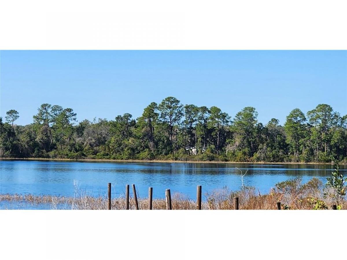 Picture of Residential Land For Sale in Ocklawaha, Florida, United States