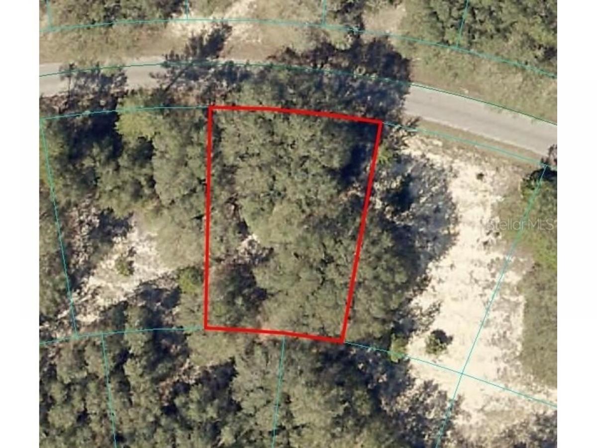 Picture of Residential Land For Sale in Ocklawaha, Florida, United States