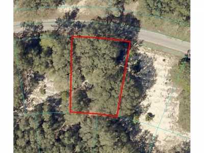 Residential Land For Sale in Ocklawaha, Florida