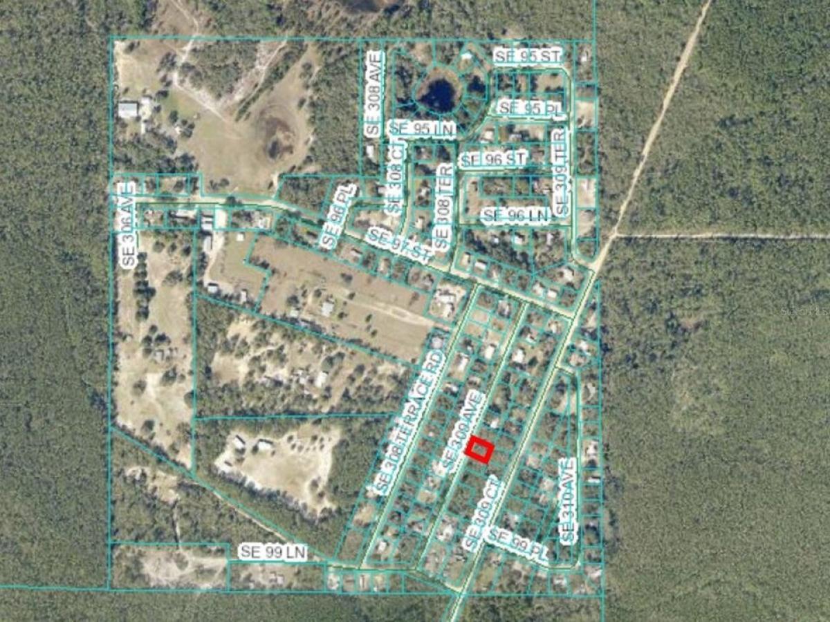 Picture of Residential Land For Sale in Altoona, Florida, United States