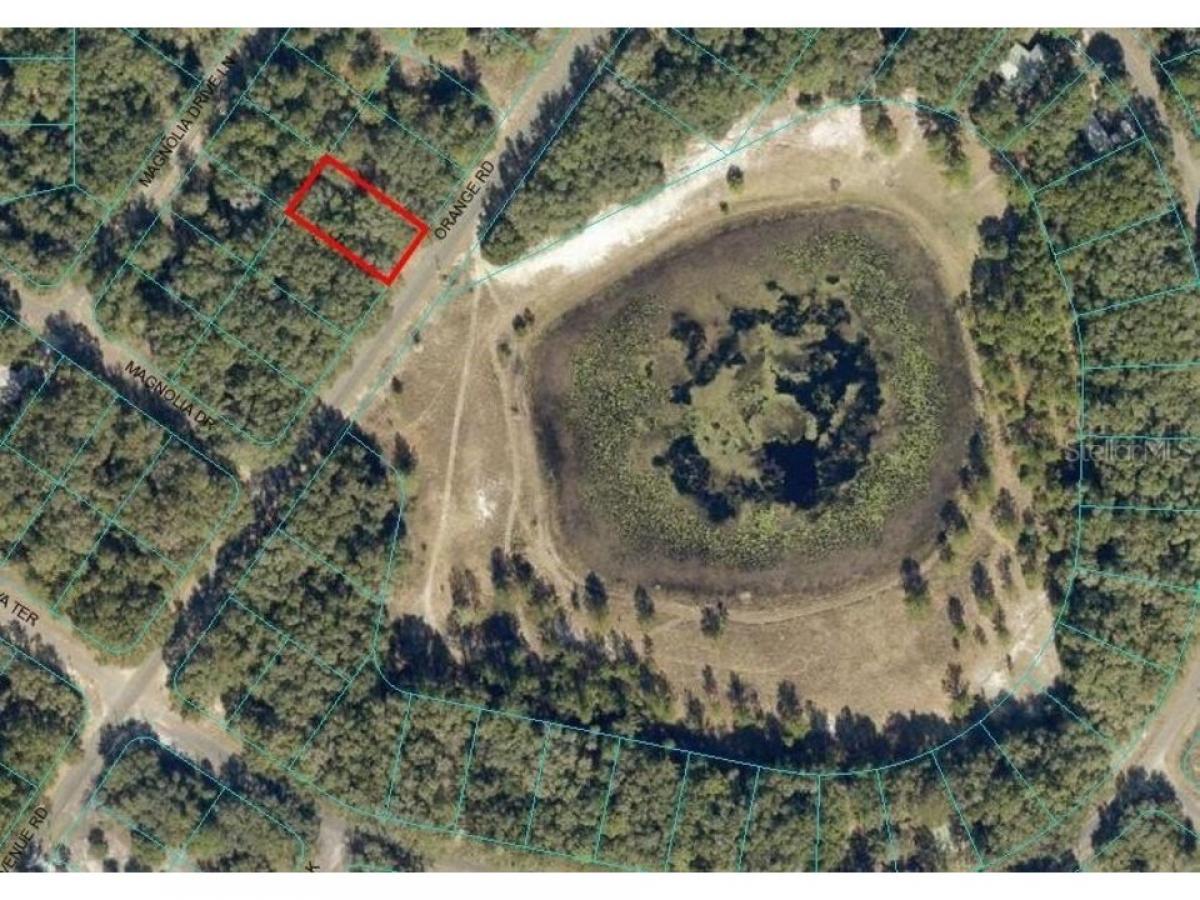 Picture of Residential Land For Sale in Ocklawaha, Florida, United States