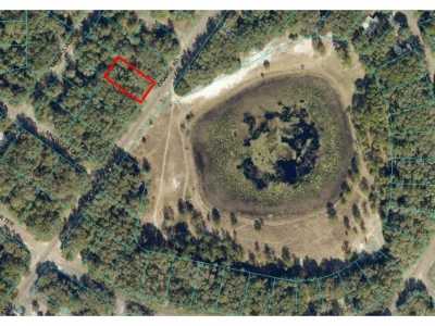 Residential Land For Sale in Ocklawaha, Florida