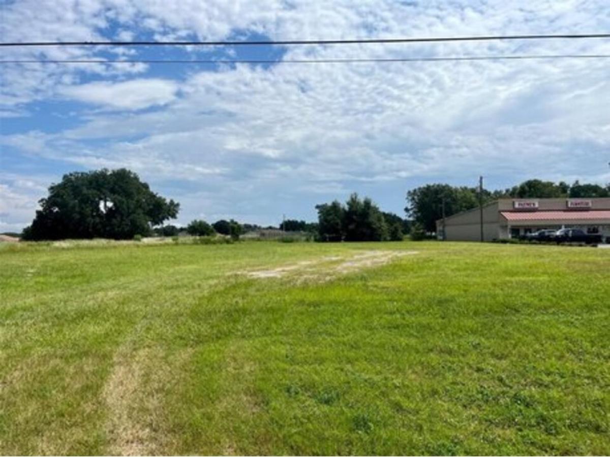 Picture of Residential Land For Sale in Summerfield, Florida, United States