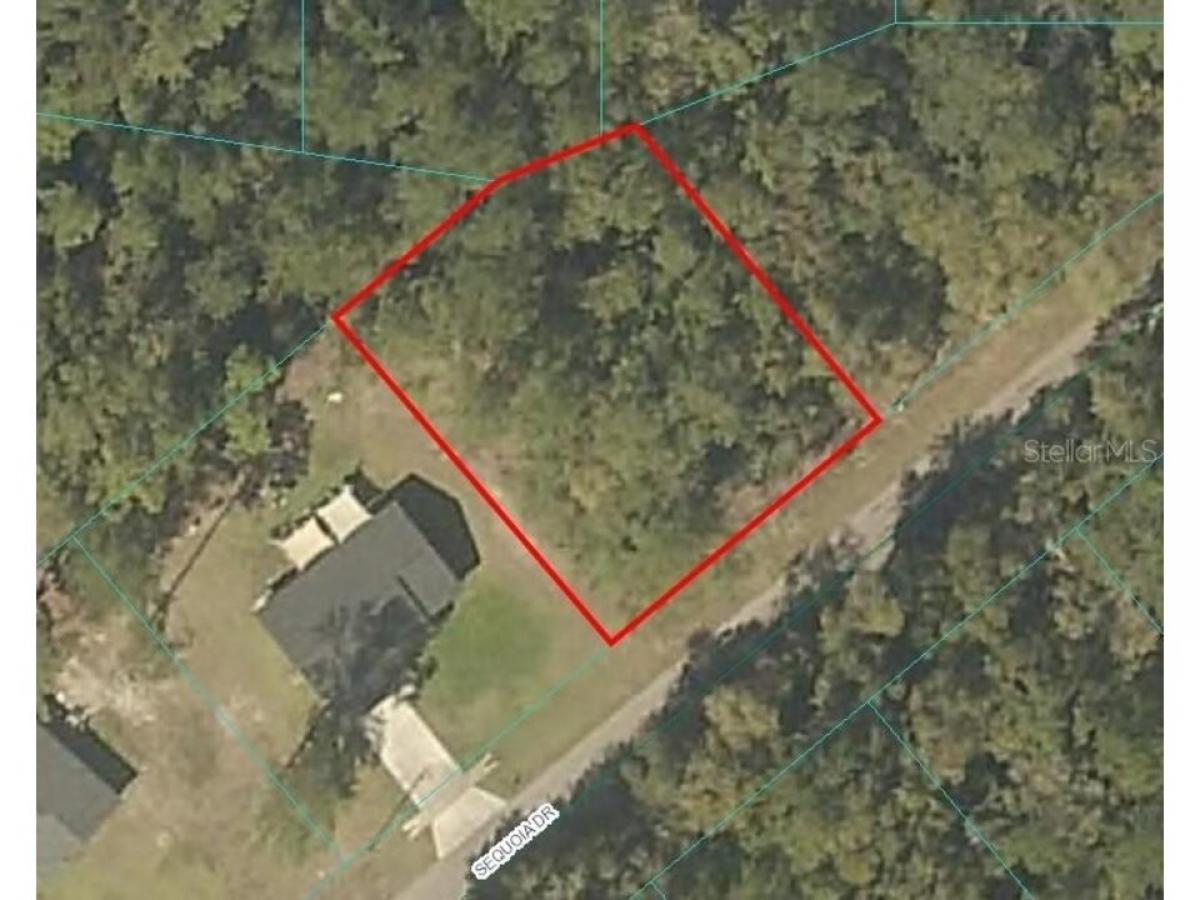 Picture of Residential Land For Sale in Ocklawaha, Florida, United States