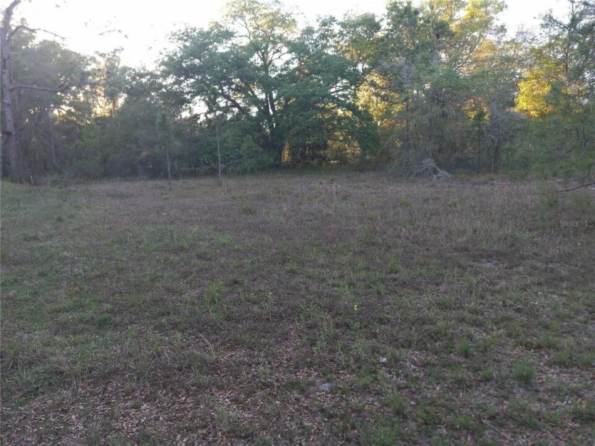 Picture of Residential Land For Sale in Fort Mc Coy, Florida, United States
