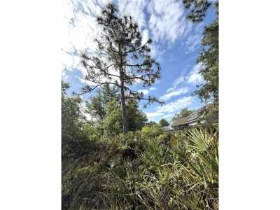 Residential Land For Sale in Kissimmee, Florida