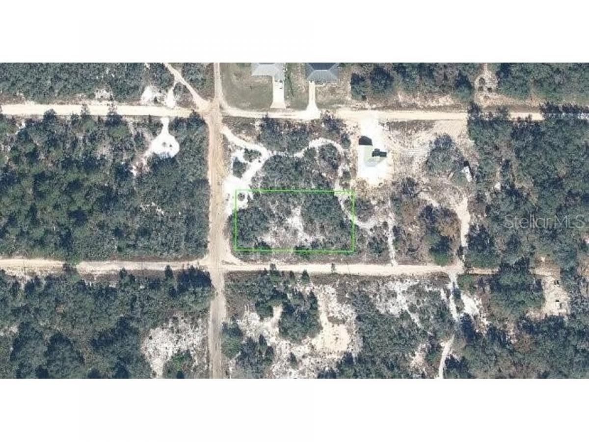 Picture of Residential Land For Sale in Avon Park, Florida, United States