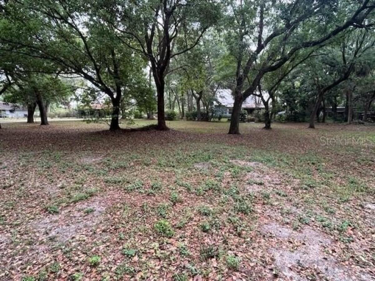 Picture of Residential Land For Sale in Winter Park, Florida, United States