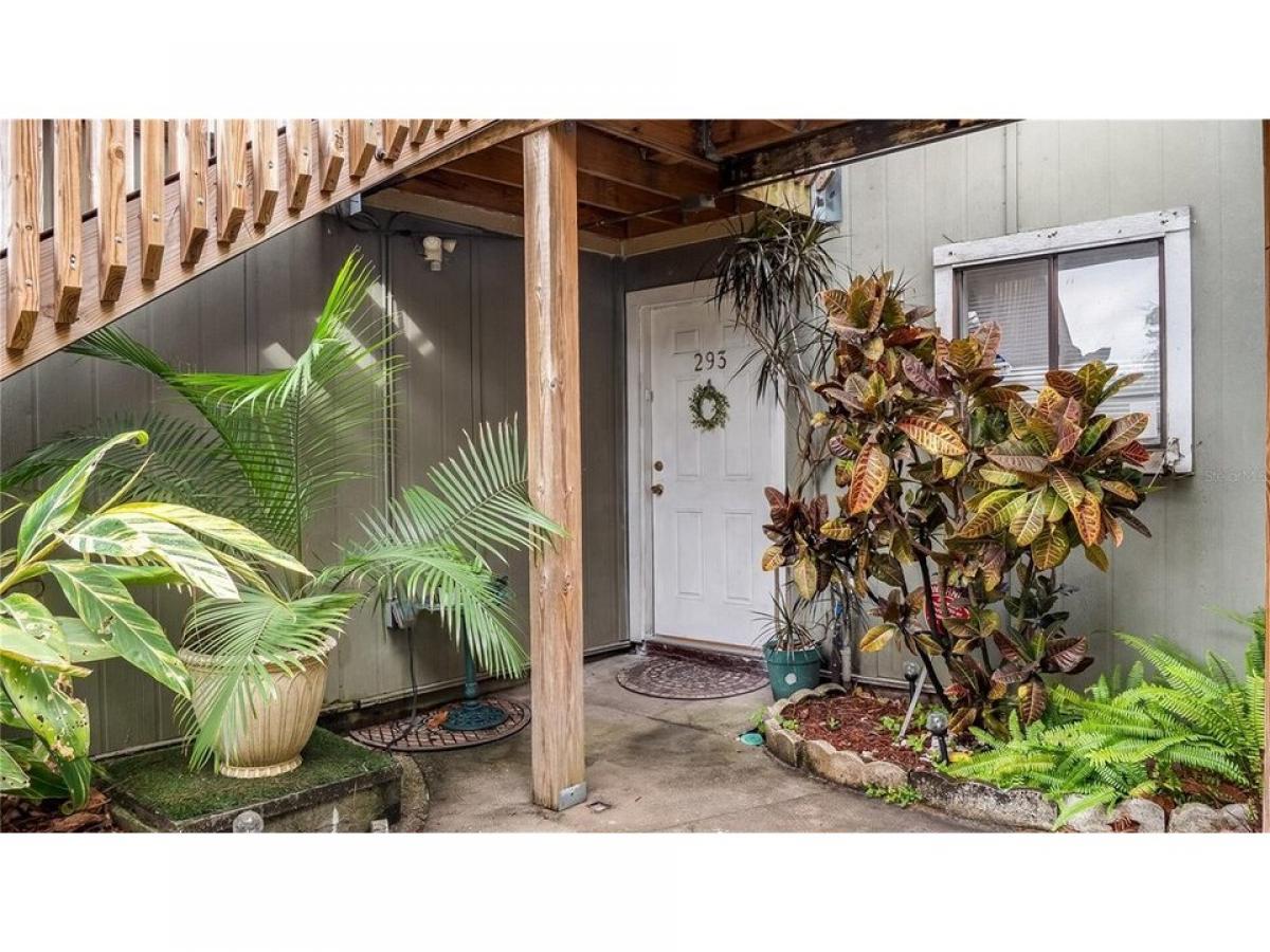 Picture of Home For Rent in Winter Park, Florida, United States