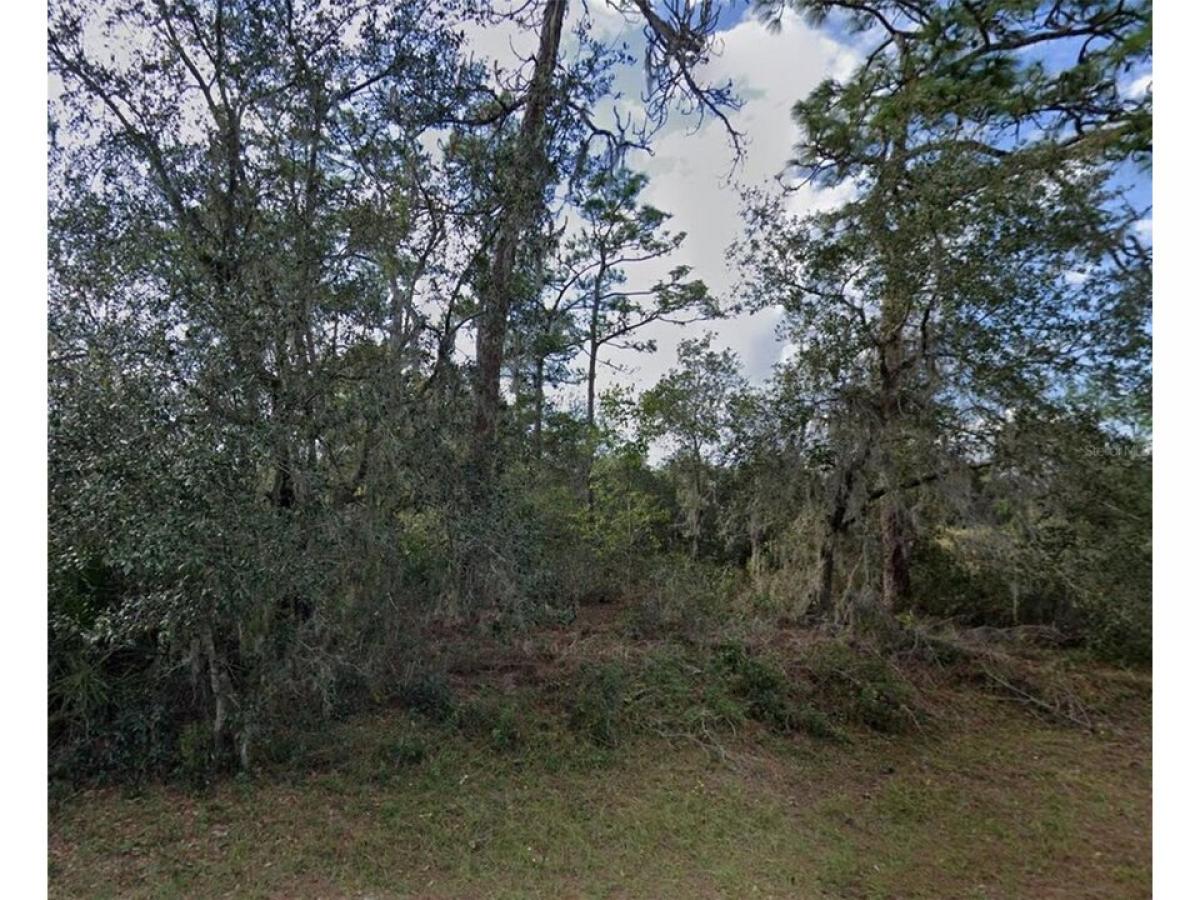 Picture of Residential Land For Sale in Poinciana, Florida, United States