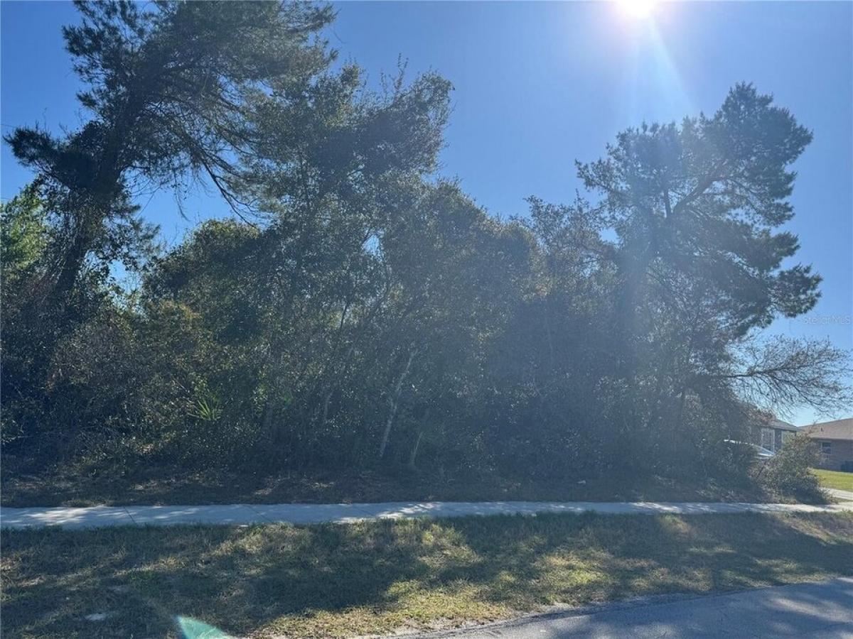Picture of Residential Land For Sale in Deltona, Florida, United States
