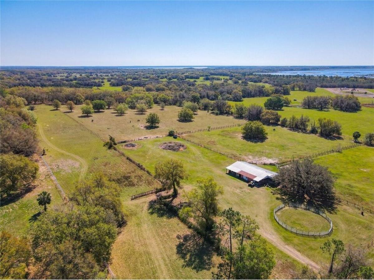 Picture of Home For Sale in Leesburg, Florida, United States
