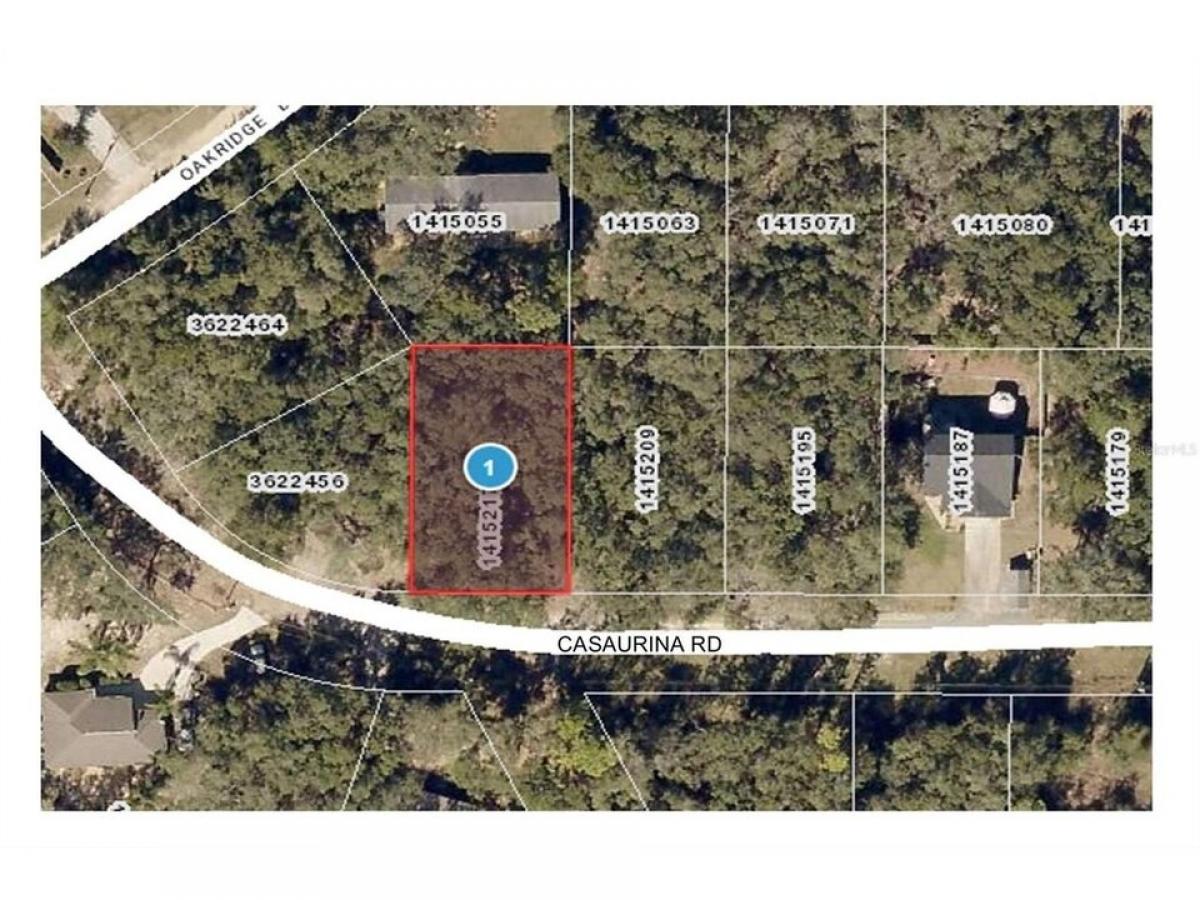 Picture of Residential Land For Sale in Lady Lake, Florida, United States