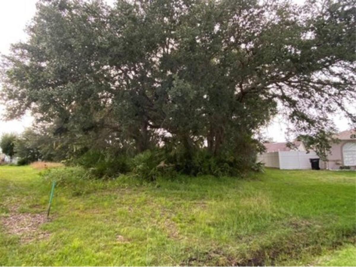 Picture of Residential Land For Sale in Kissimmee, Florida, United States