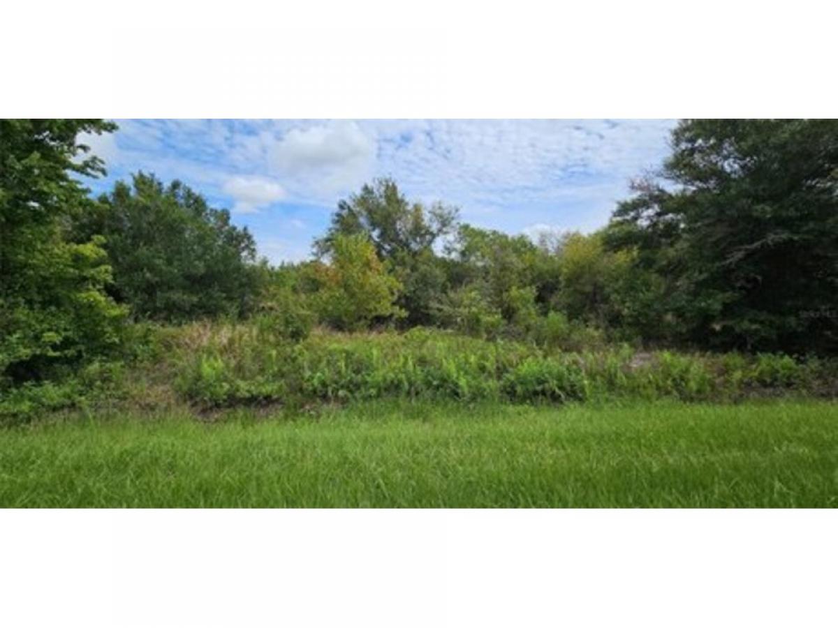 Picture of Residential Land For Sale in Okeechobee, Florida, United States