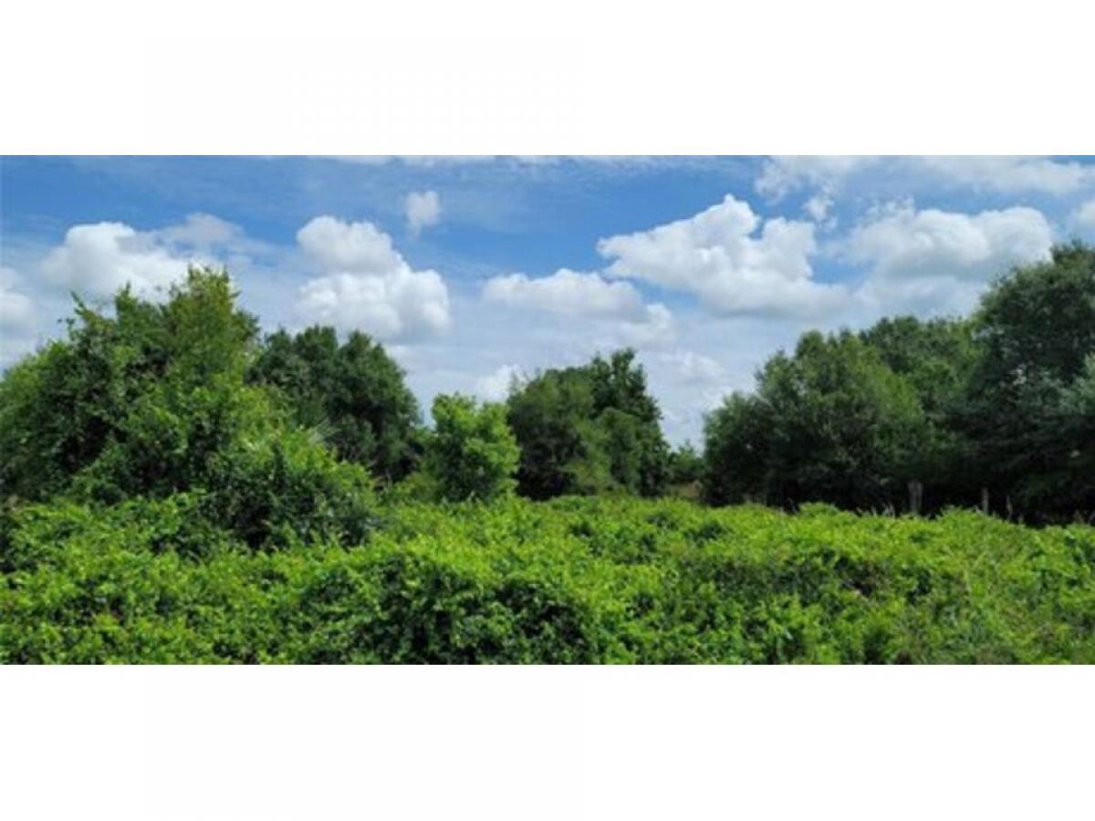 Picture of Residential Land For Sale in Okeechobee, Florida, United States