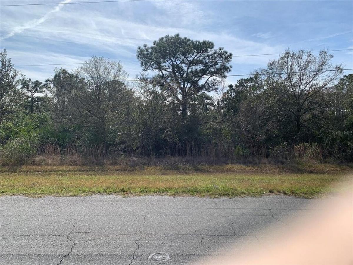 Picture of Residential Land For Sale in Orlando, Florida, United States