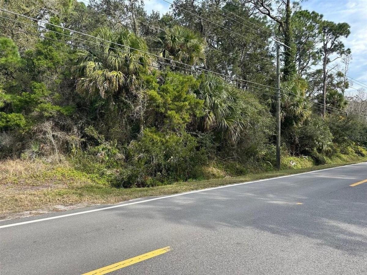 Picture of Residential Land For Sale in Geneva, Florida, United States