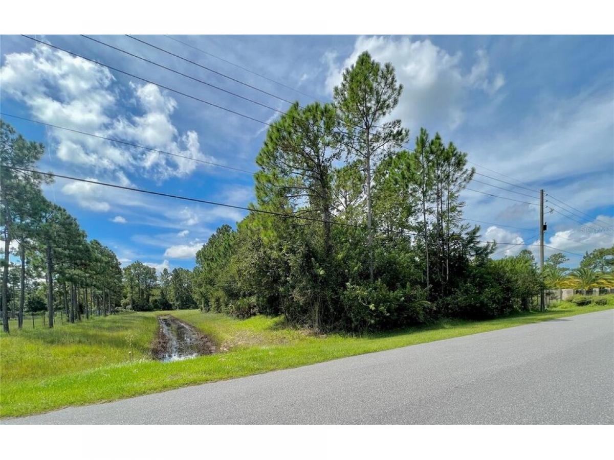 Picture of Residential Land For Sale in Orlando, Florida, United States