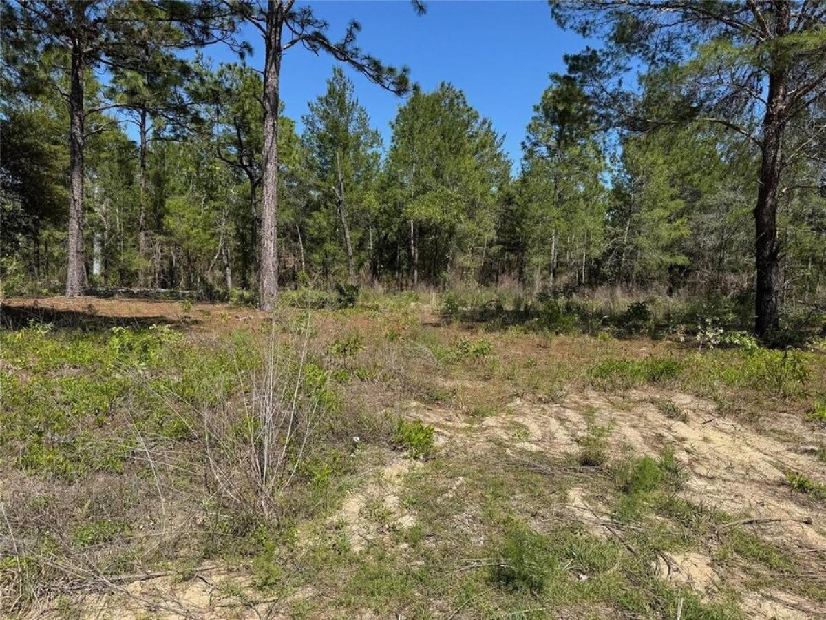 Picture of Residential Land For Sale in Keystone Heights, Florida, United States