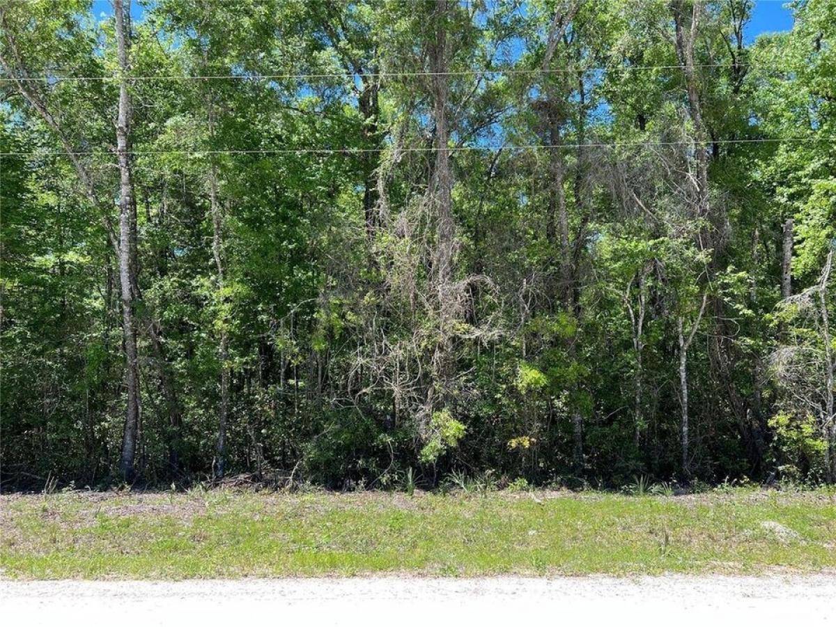 Picture of Residential Land For Sale in Old Town, Florida, United States