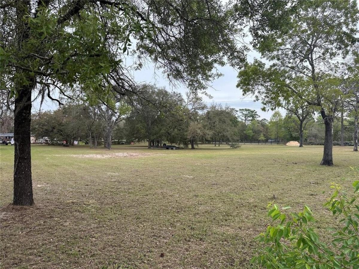 Picture of Residential Land For Sale in Morriston, Florida, United States
