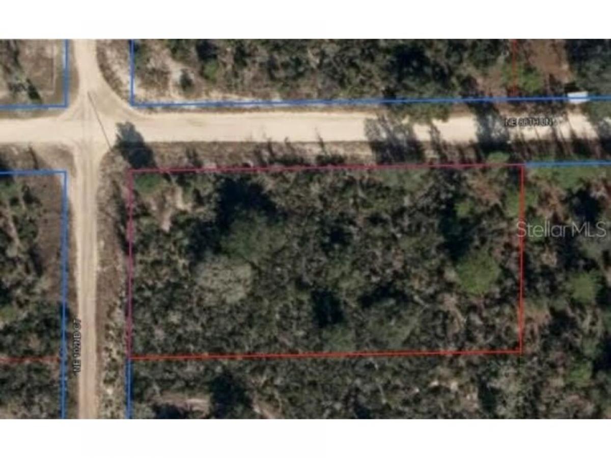 Picture of Residential Land For Sale in Bronson, Florida, United States