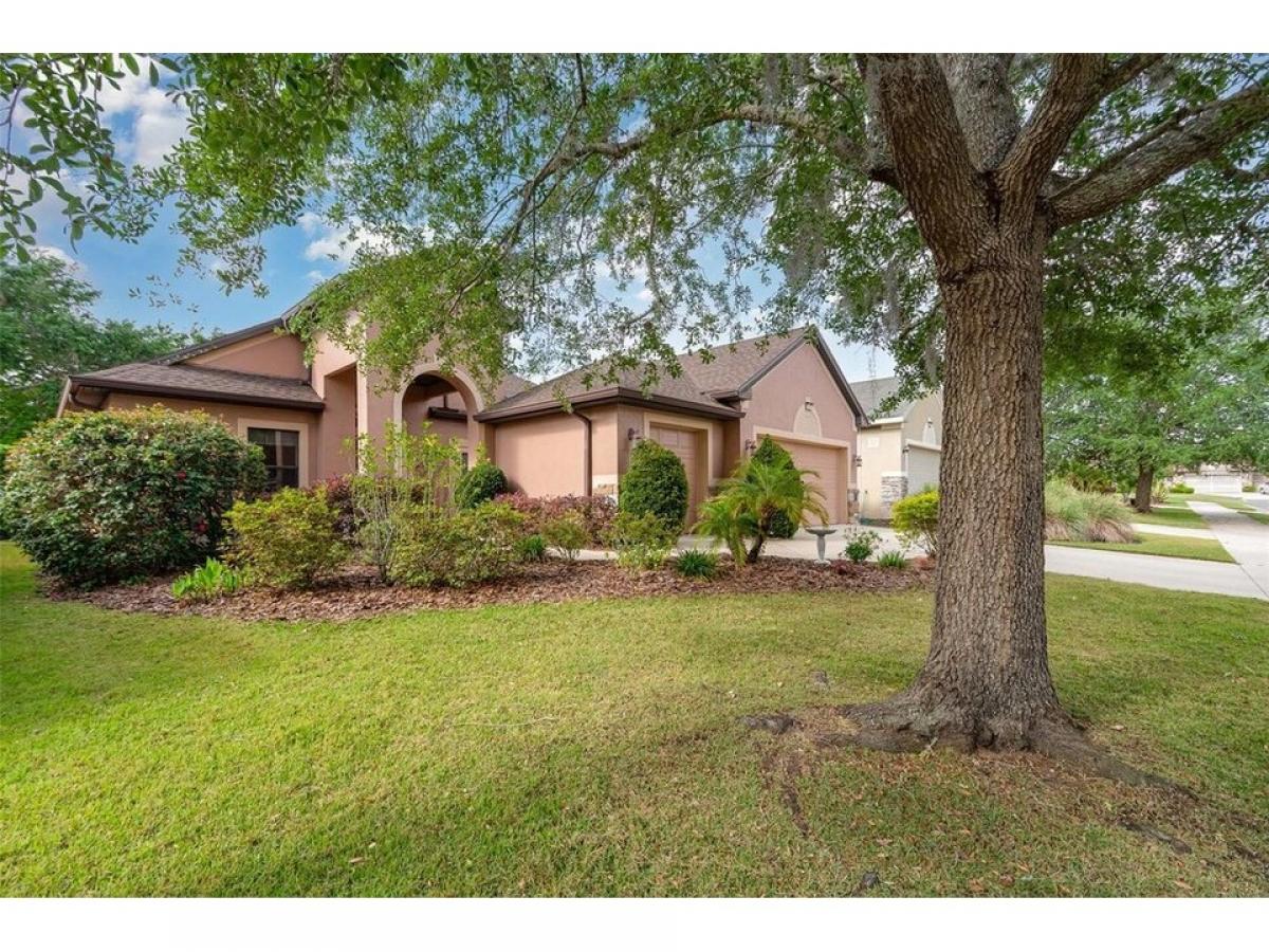 Picture of Home For Sale in Mount Dora, Florida, United States