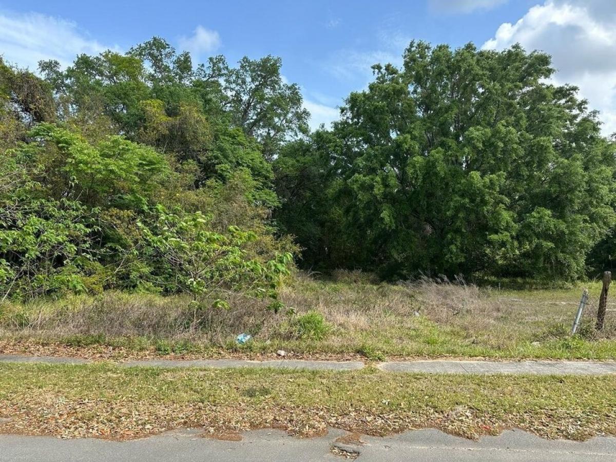 Picture of Residential Land For Sale in Davenport, Florida, United States