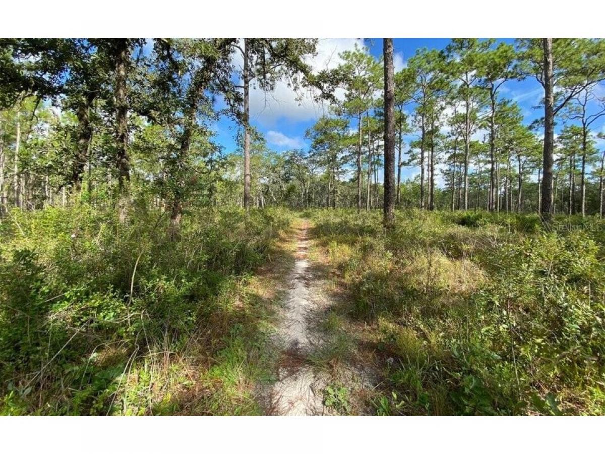 Picture of Residential Land For Sale in Brooksville, Florida, United States