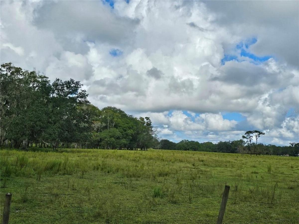 Picture of Residential Land For Sale in Bunnell, Florida, United States