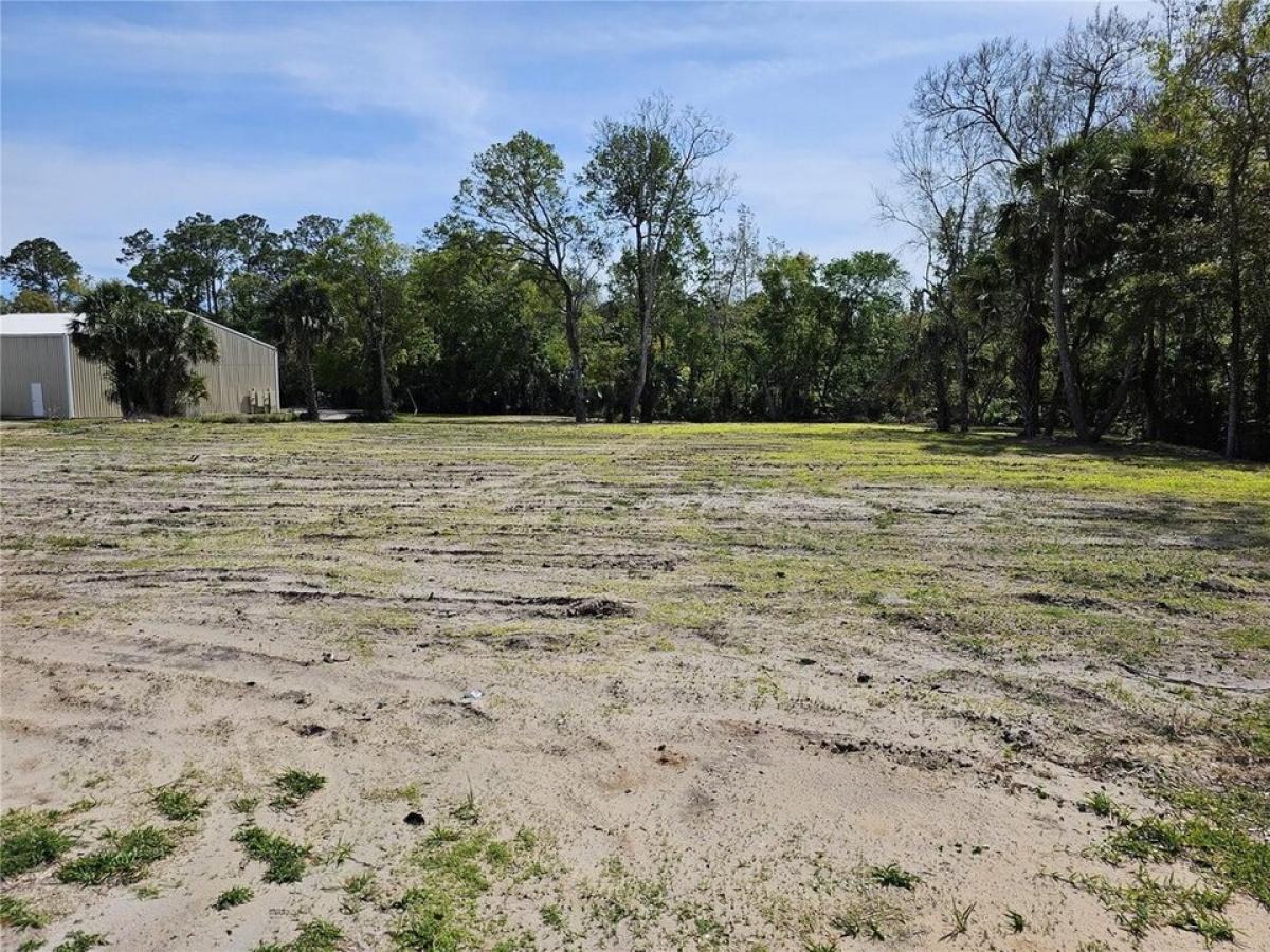 Picture of Residential Land For Sale in Bunnell, Florida, United States