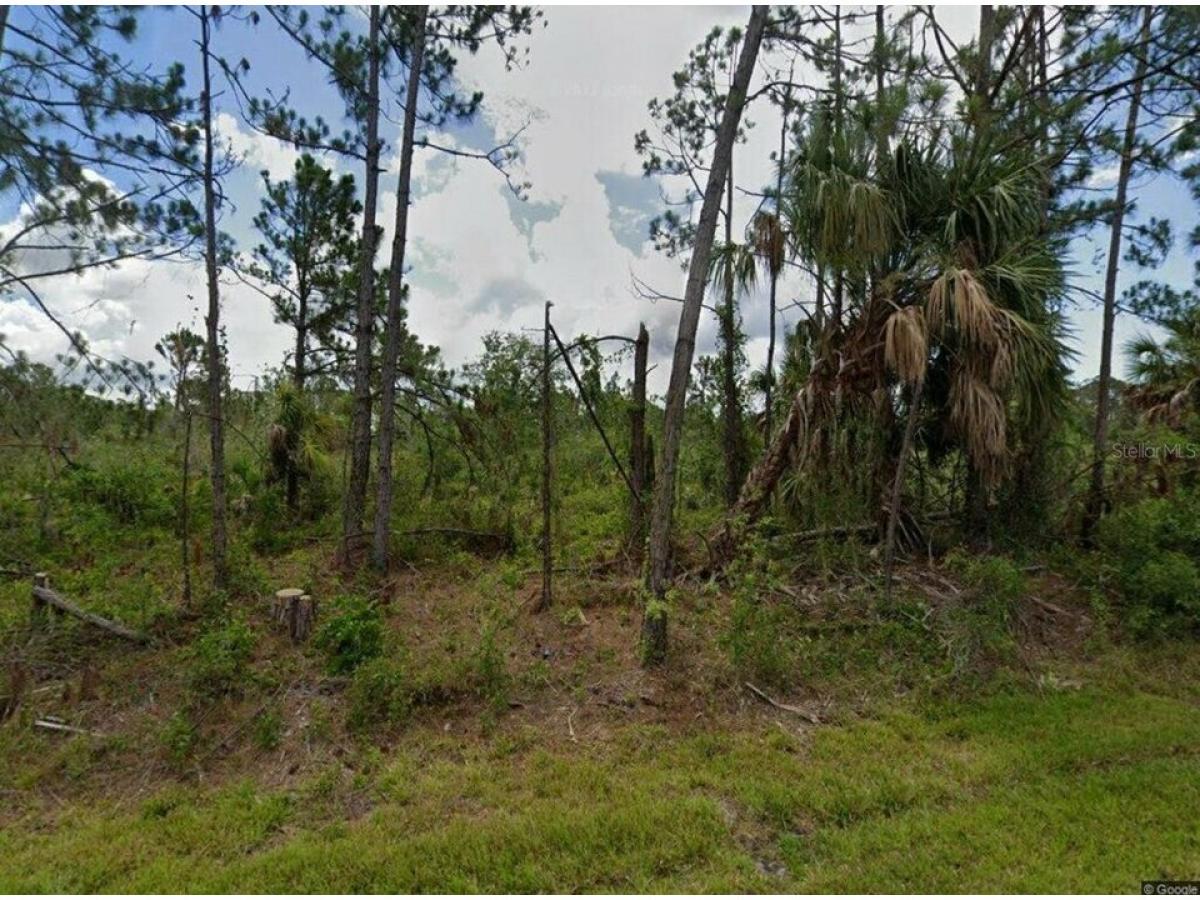 Picture of Residential Land For Sale in Port Charlotte, Florida, United States