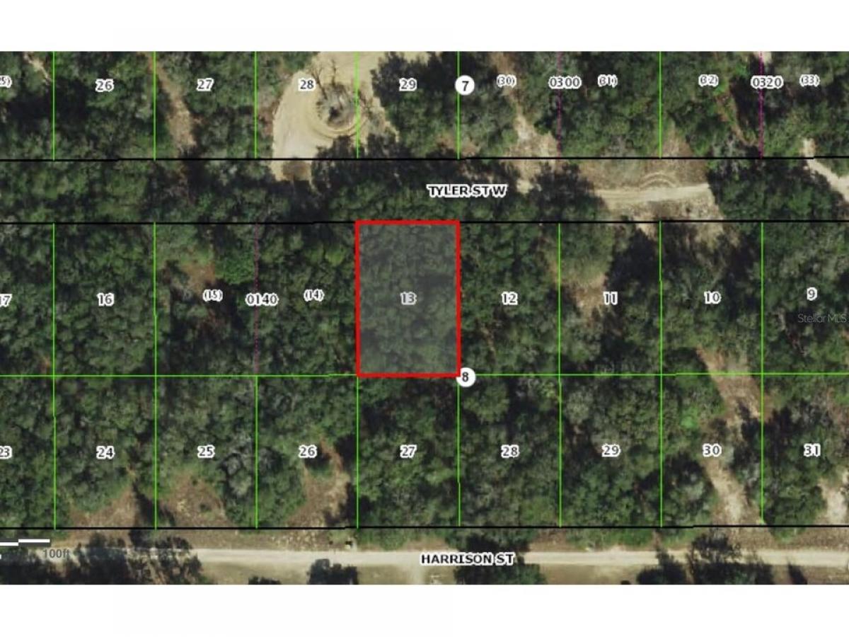 Picture of Residential Land For Sale in Inverness, Florida, United States