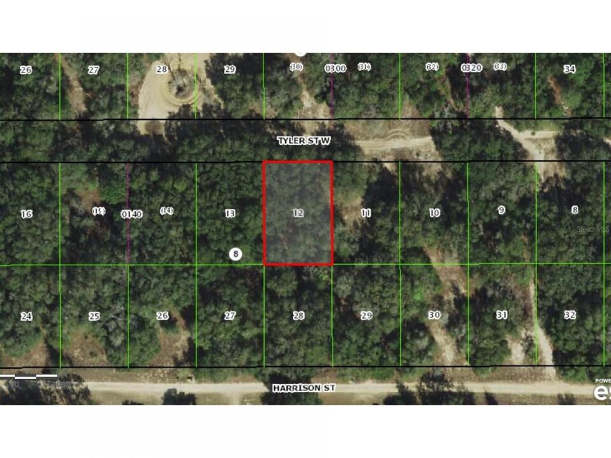 Picture of Residential Land For Sale in Inverness, Florida, United States