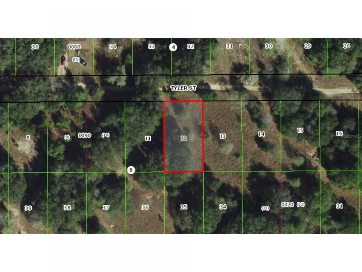 Picture of Residential Land For Sale in Inverness, Florida, United States