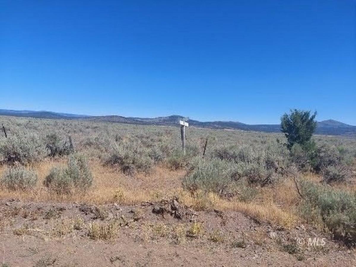 Picture of Residential Land For Rent in Madeline, California, United States