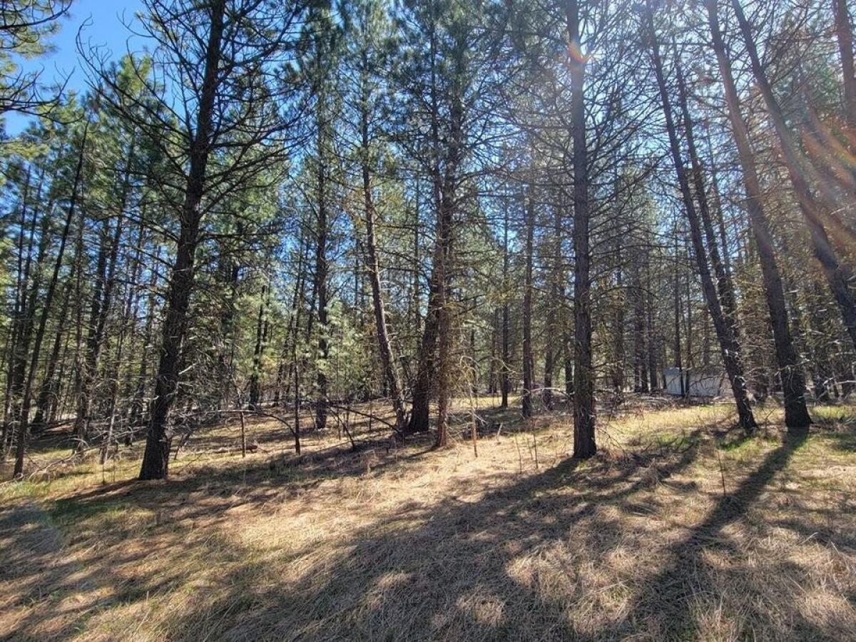 Picture of Residential Land For Sale in Cascade, Idaho, United States