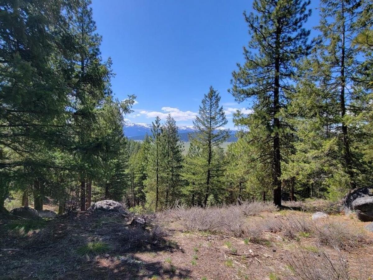 Picture of Residential Land For Sale in Cascade, Idaho, United States