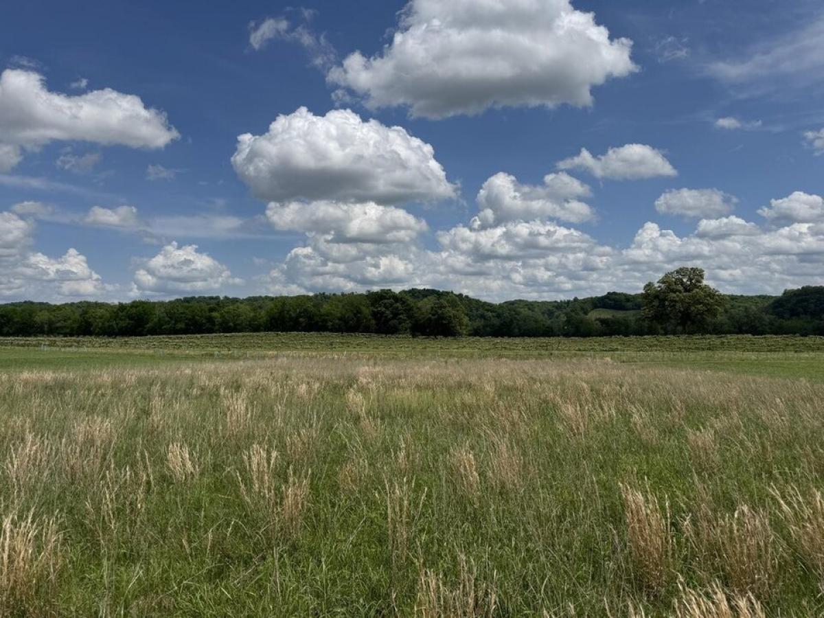 Picture of Residential Land For Sale in Morristown, Tennessee, United States