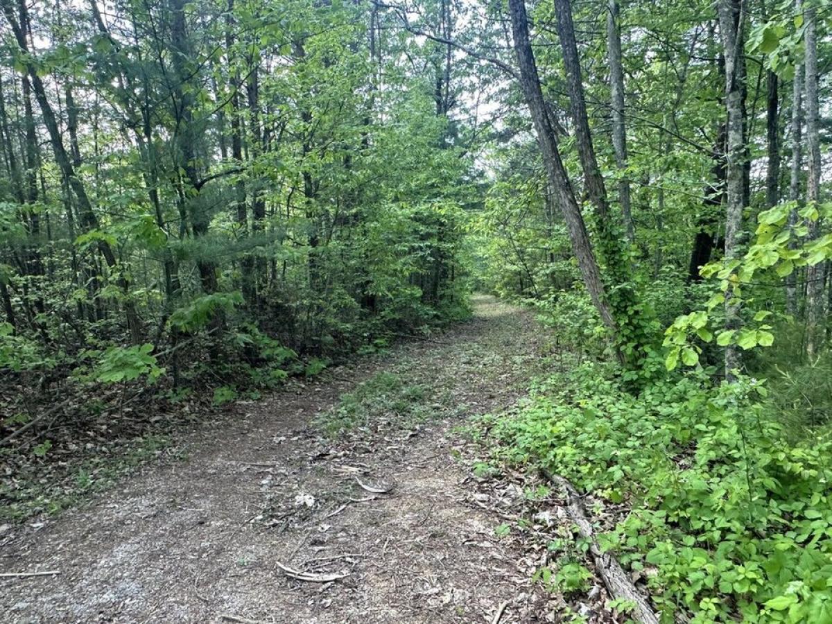 Picture of Residential Land For Sale in Cosby, Tennessee, United States