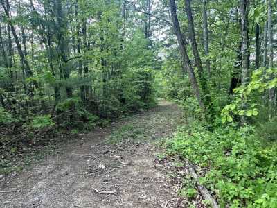 Residential Land For Sale in Cosby, Tennessee