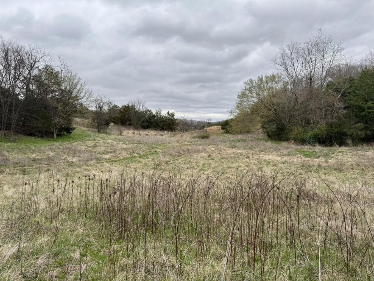 Picture of Residential Land For Sale in Parrottsville, Tennessee, United States