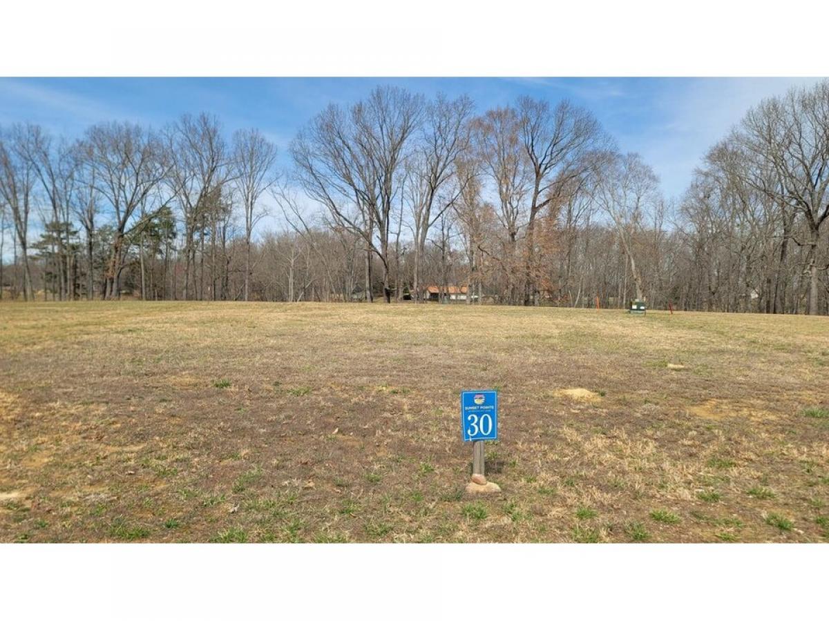 Picture of Residential Land For Sale in Baneberry, Tennessee, United States