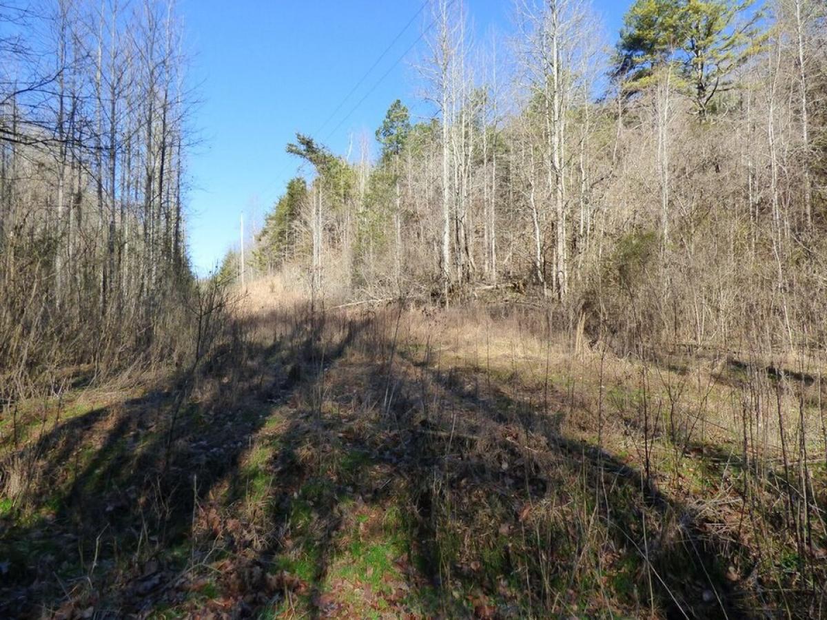 Picture of Residential Land For Sale in Bybee, Tennessee, United States