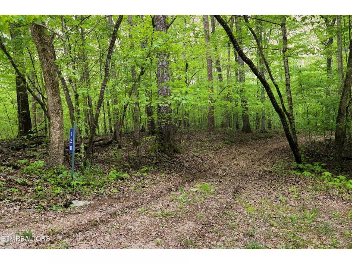 Picture of Residential Land For Sale in Kingston, Tennessee, United States