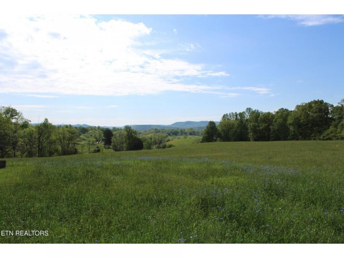 Picture of Residential Land For Sale in Pall Mall, Tennessee, United States