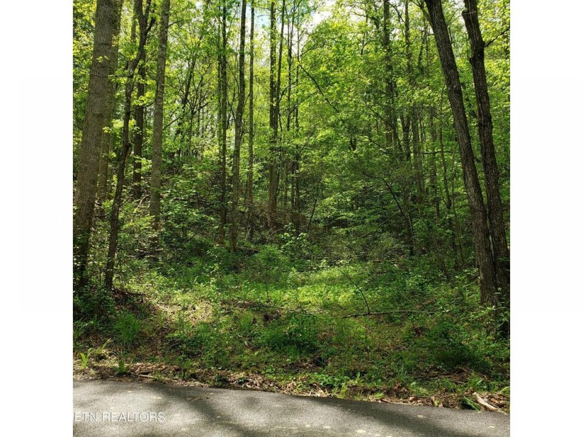 Picture of Residential Land For Sale in Gatlinburg, Tennessee, United States