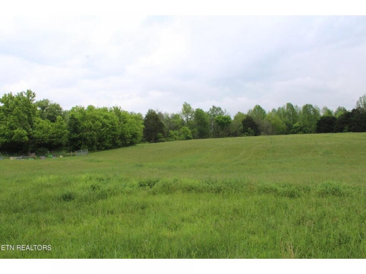 Picture of Residential Land For Sale in Jamestown, Tennessee, United States